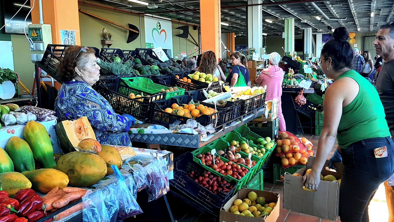Photo of Others in Garachico