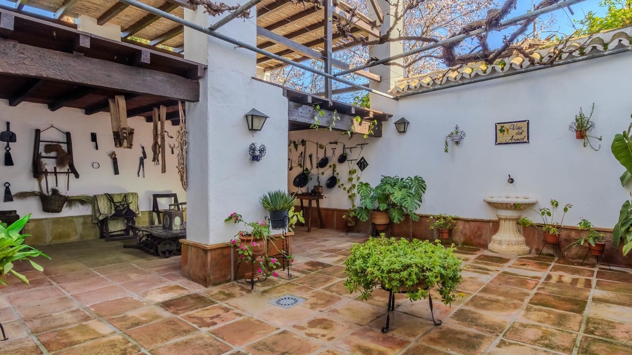 Photo of Patio Balcony in Pizarra