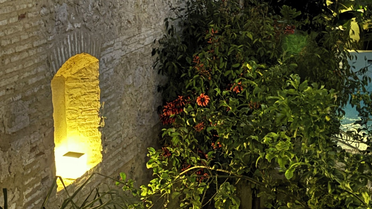 Photo of Outdoor in Moron de la Frontera