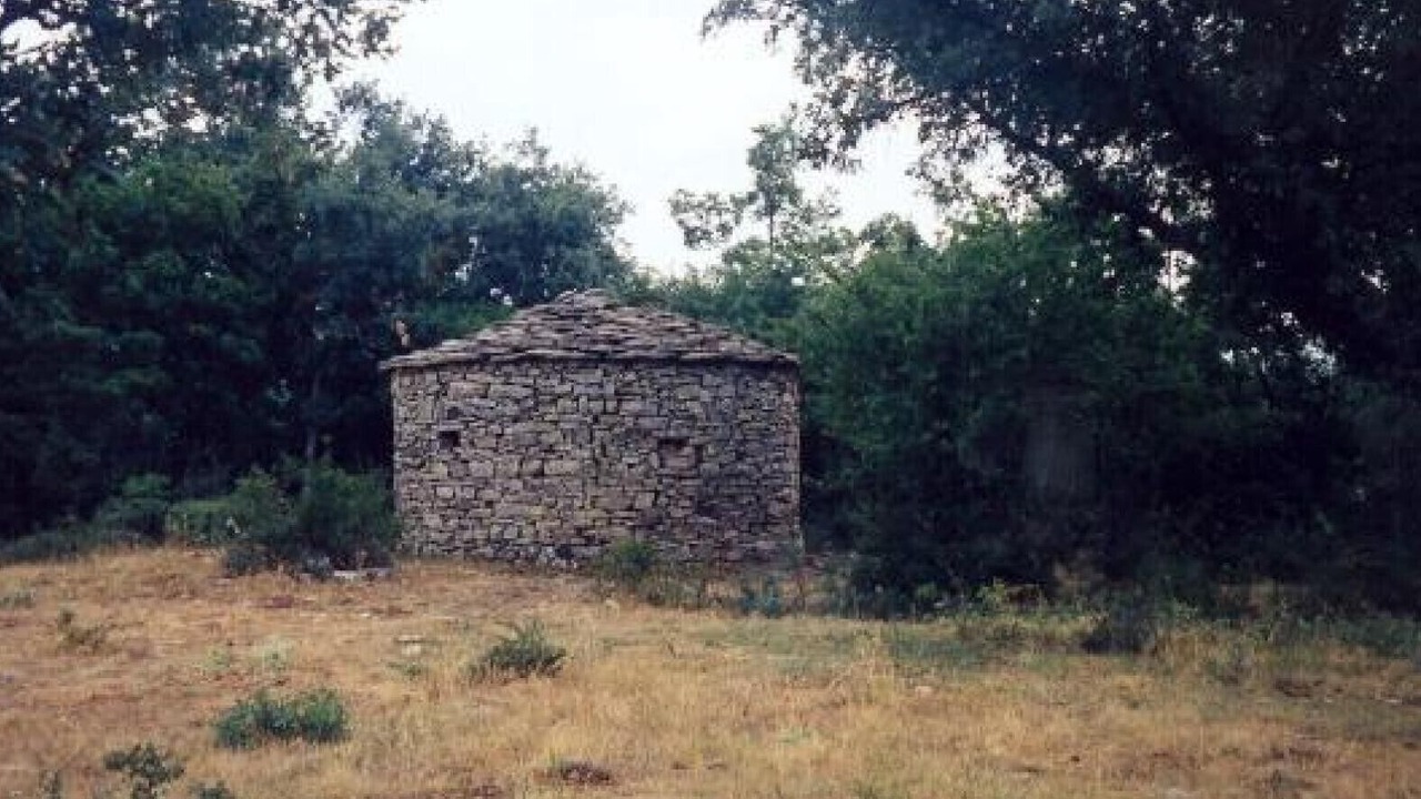 Photo of Others in San Andres de Soria