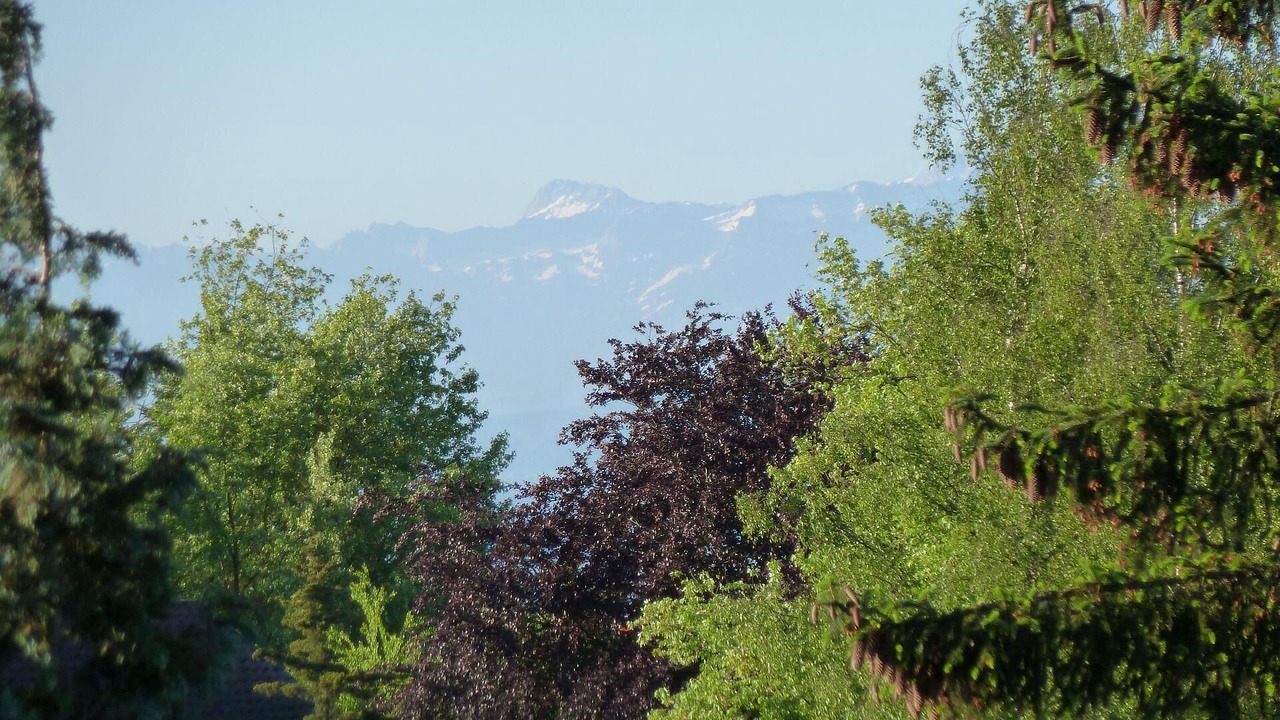 Photo of Others in Meersburg