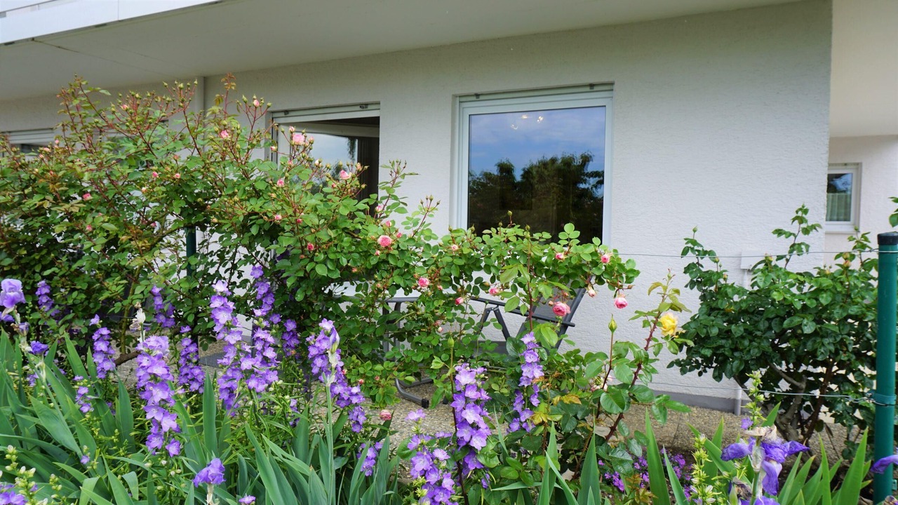 Photo of Outdoor in Meersburg