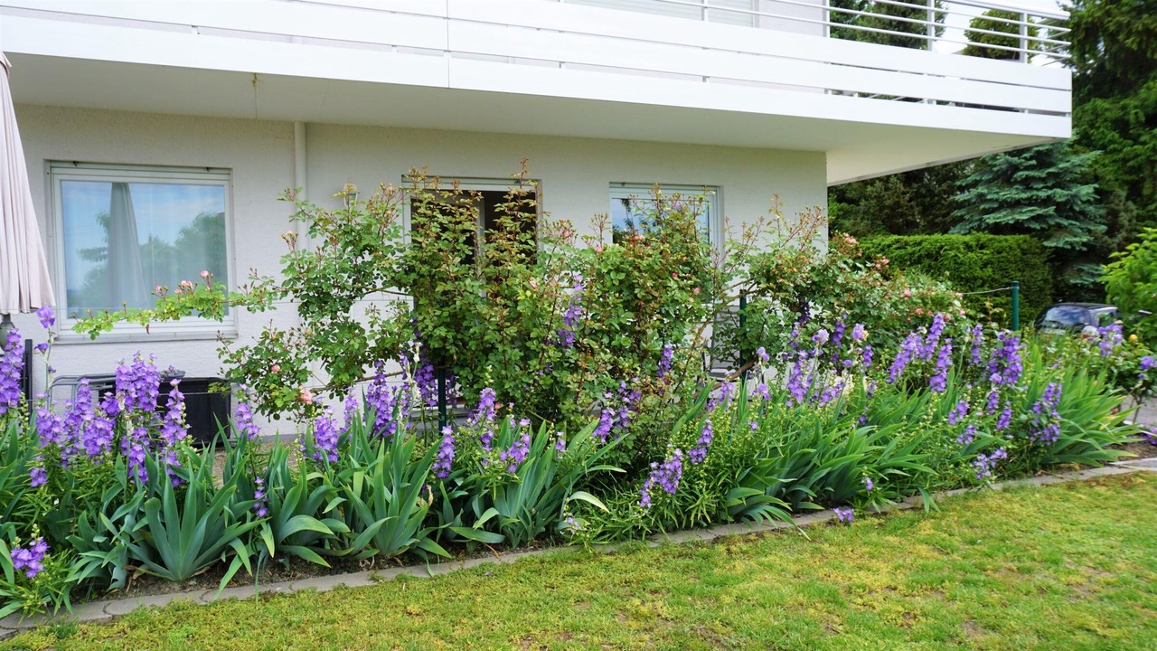 Photo of Outdoor in Meersburg