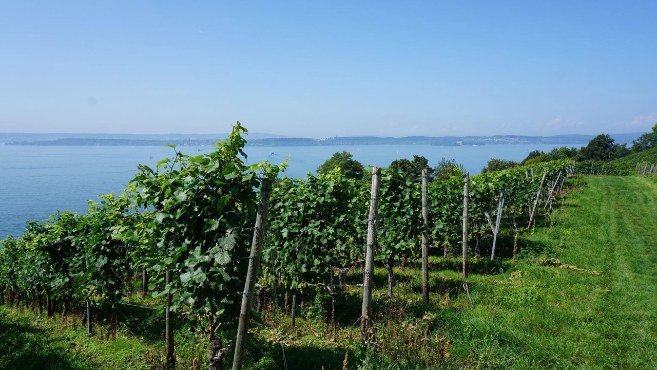 Photo of Others in Meersburg
