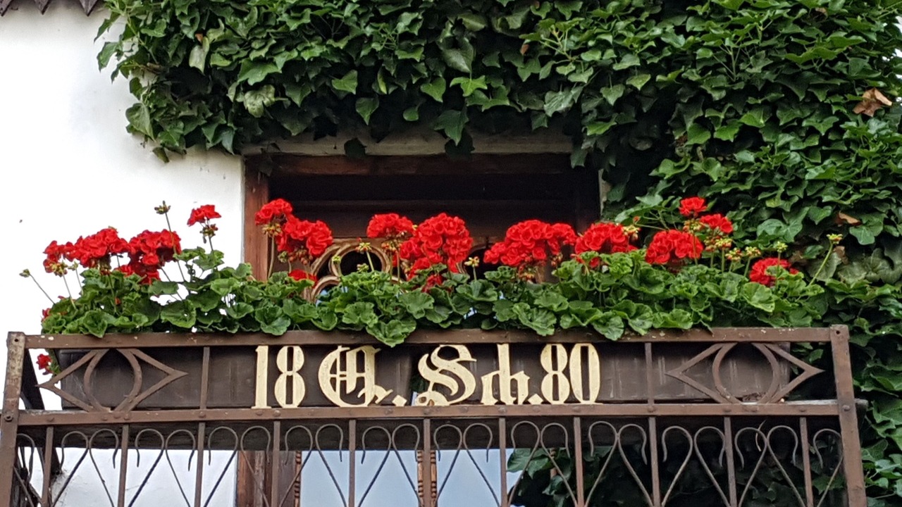 Photo of Outdoor in Burggen