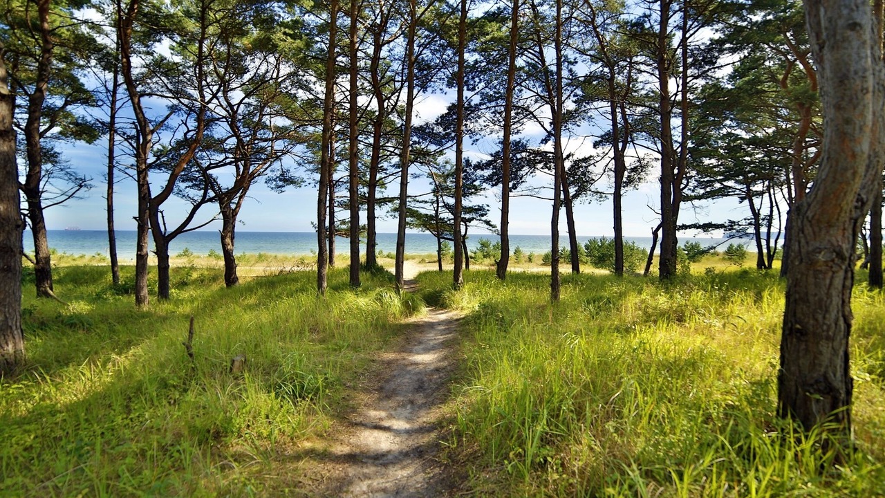 Photo of Others in Prora