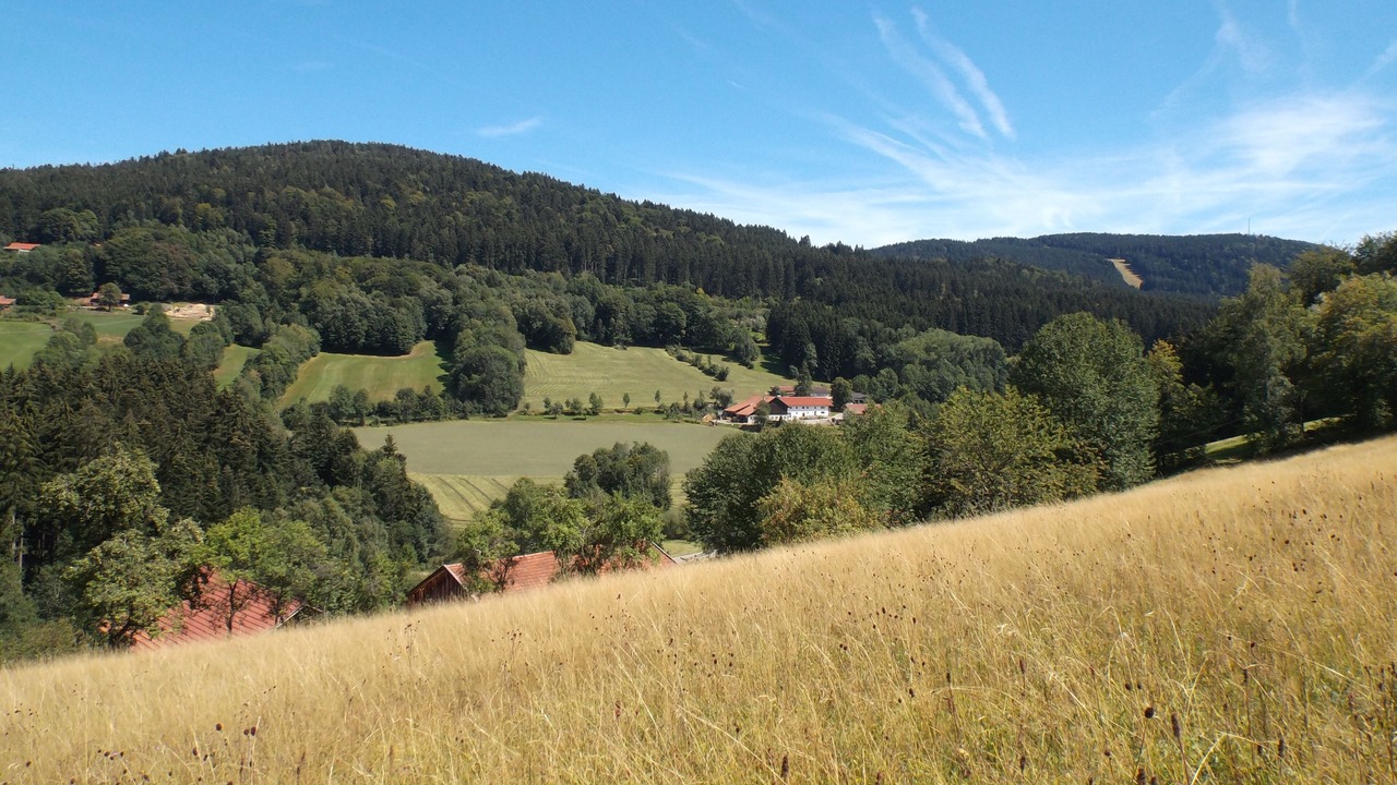 Photo of Others in Maibrunn