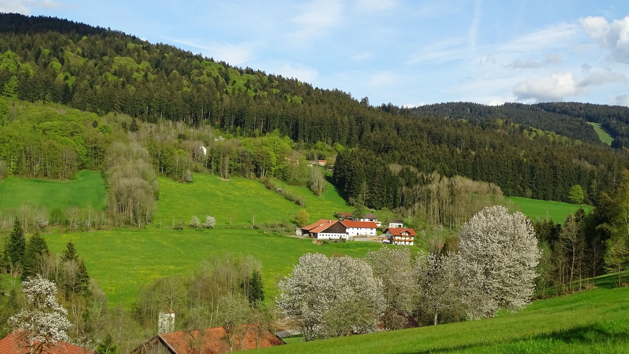 Photo of Others in Maibrunn