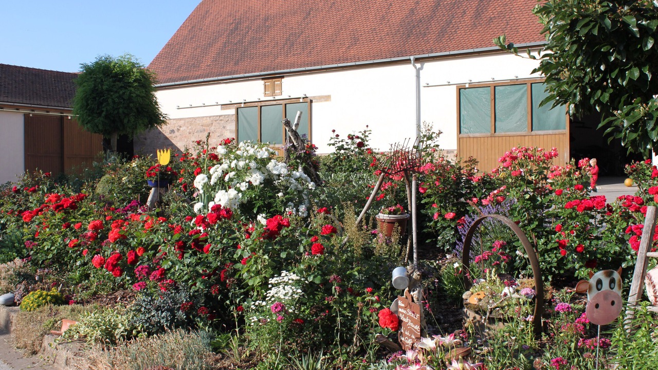 Photo of Outdoor in Merkendorf
