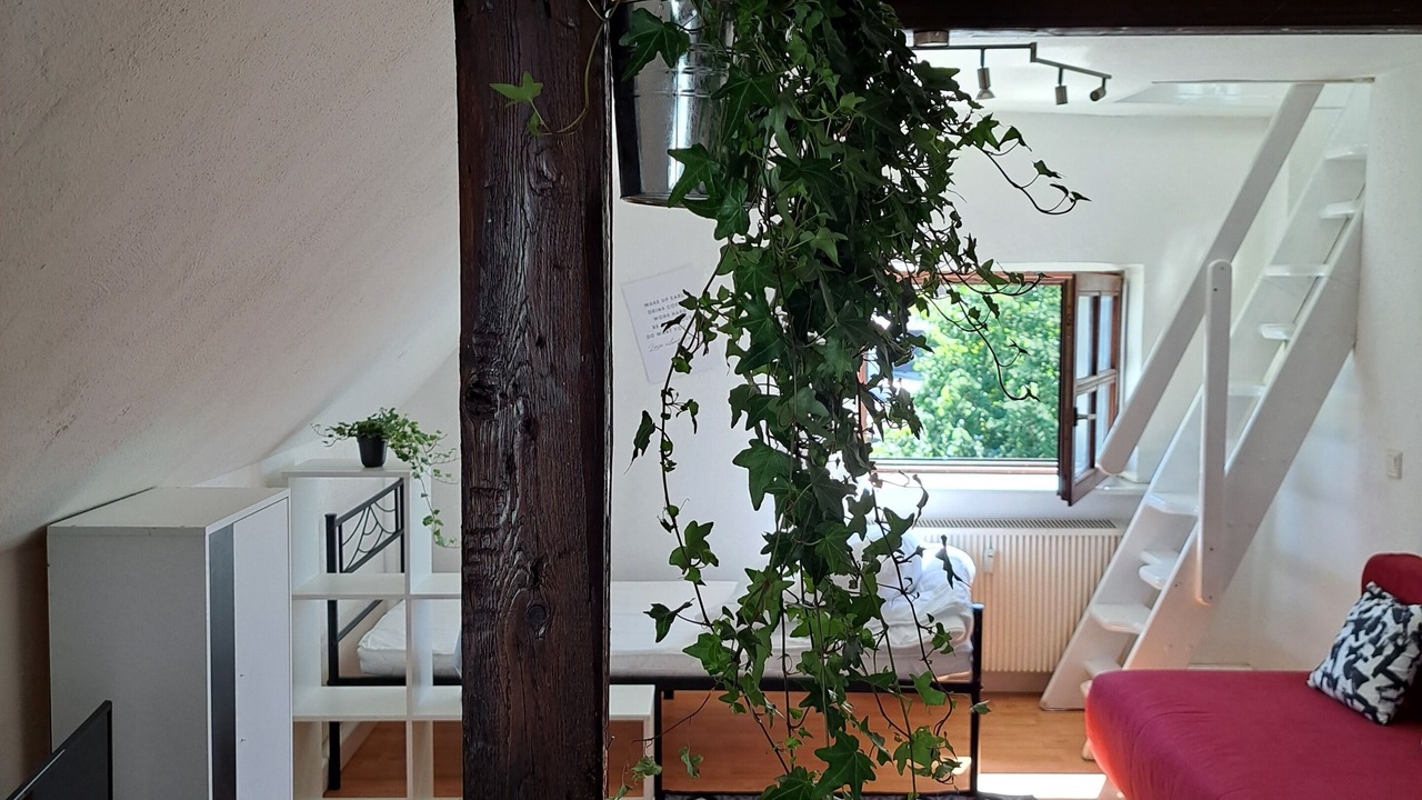 Photo of Others in Saal an der Donau