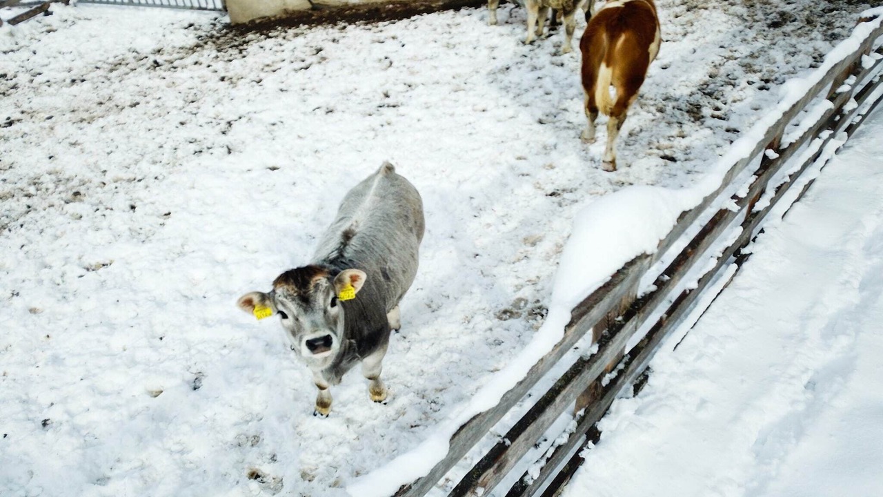 Photo of Outdoor in Kaunerberg