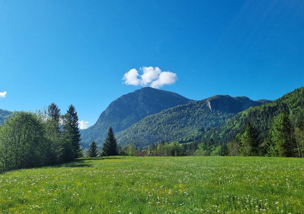 Photo of Others in Weissbach an der Alpenstrasse