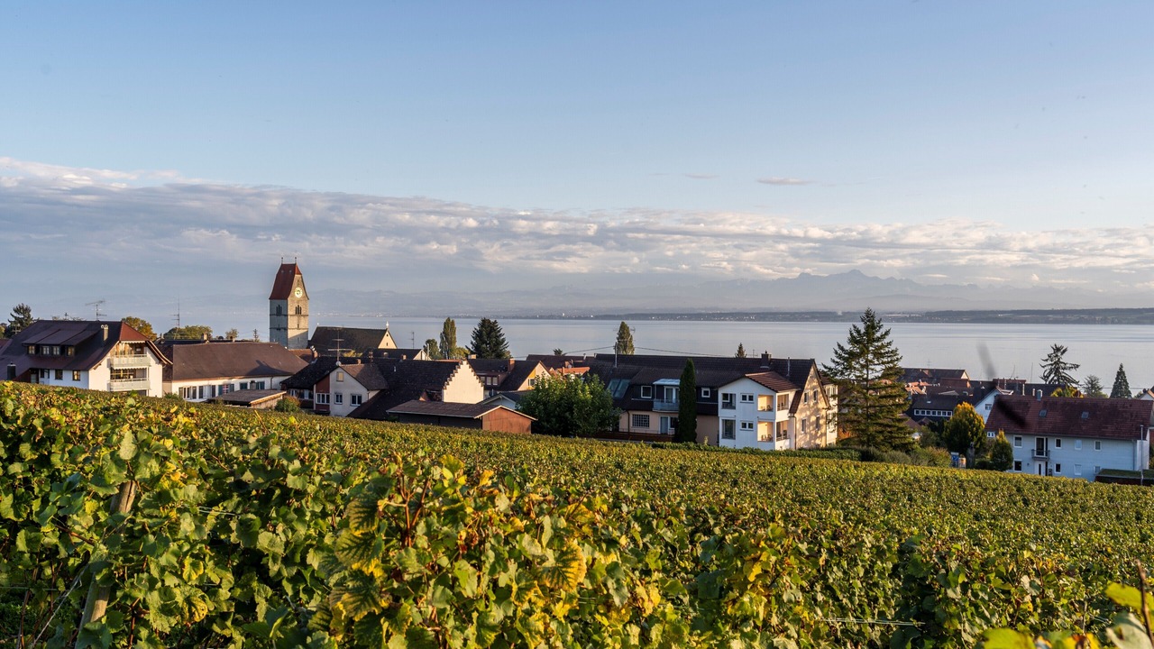 Photo of Others in Hagnau