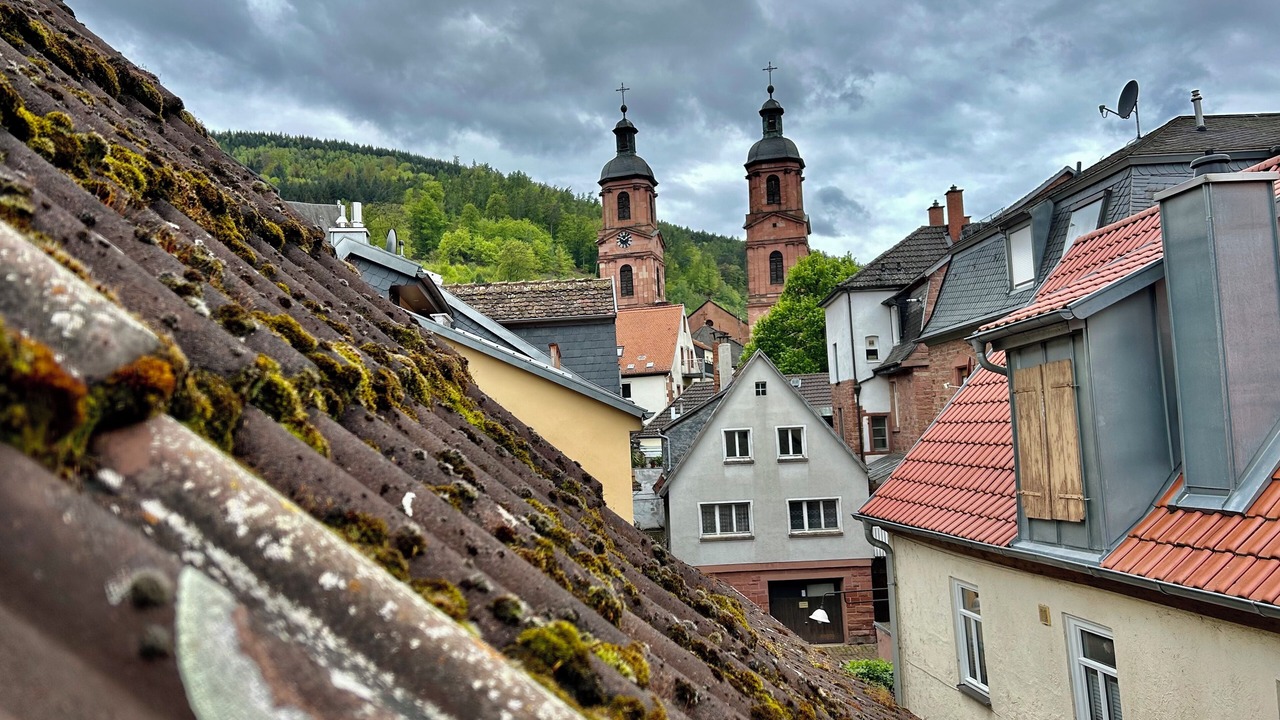 Photo of Others in Miltenberg