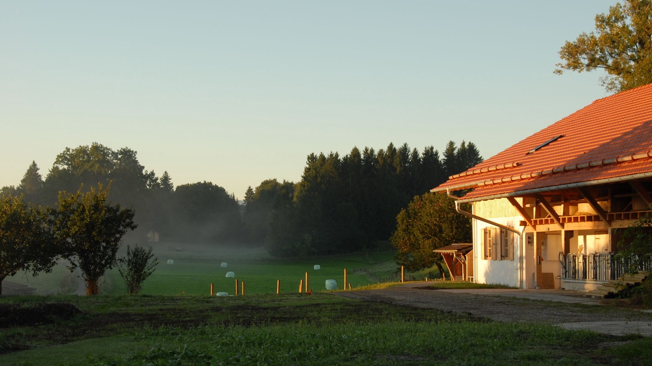 Photo of Outdoor in Seeshaupt