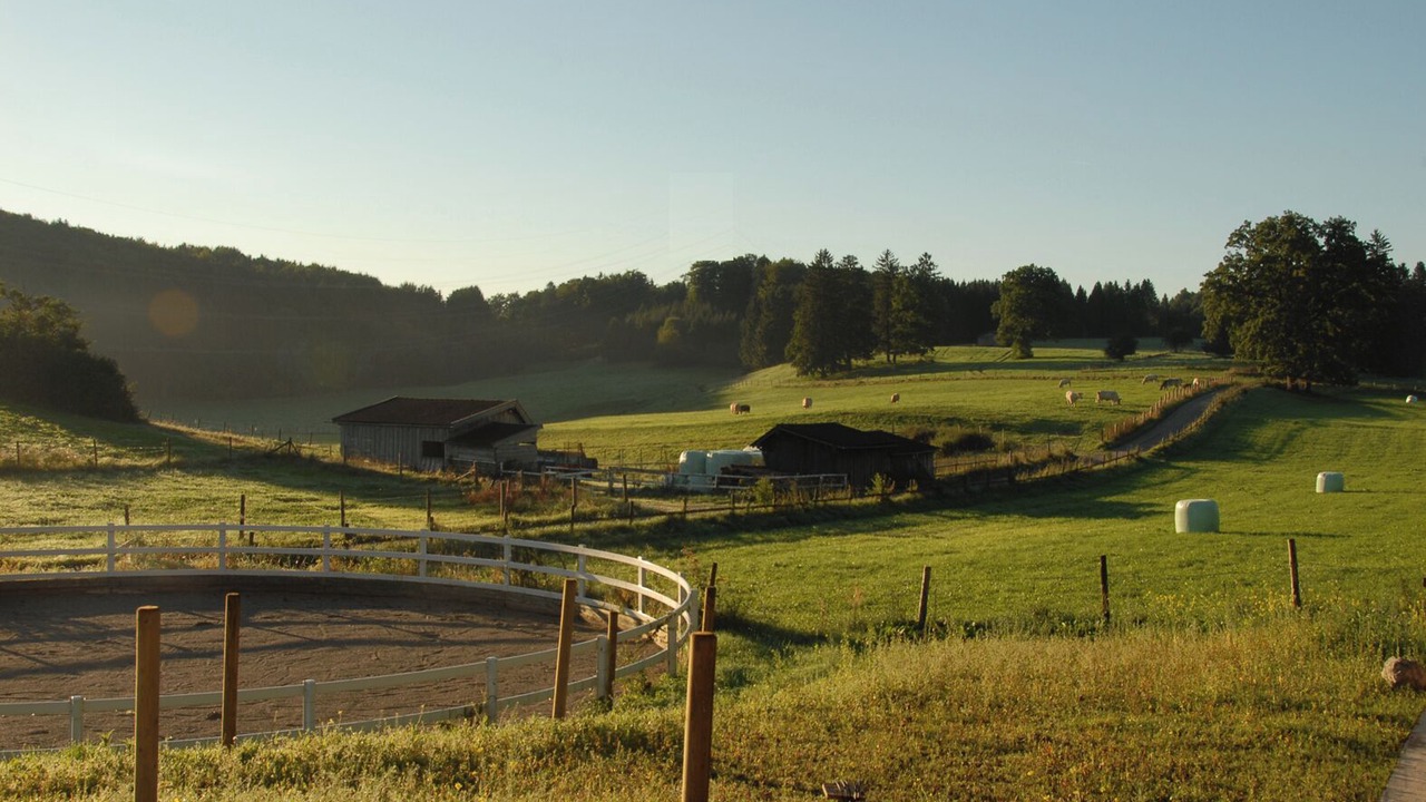 Photo of Outdoor in Seeshaupt