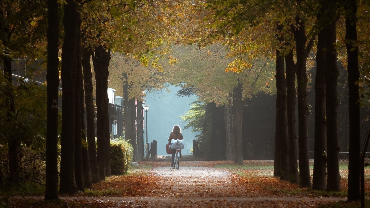 Photo of Others in Wettringen