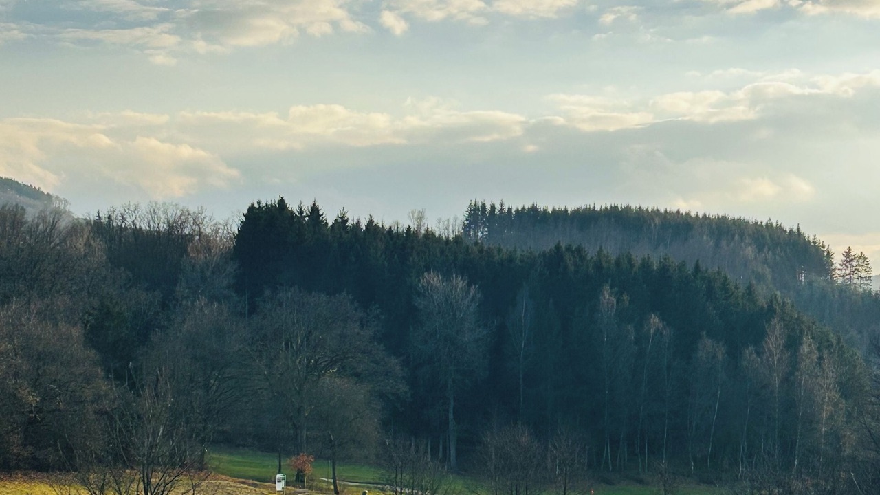 Photo of Others in Niederhelden