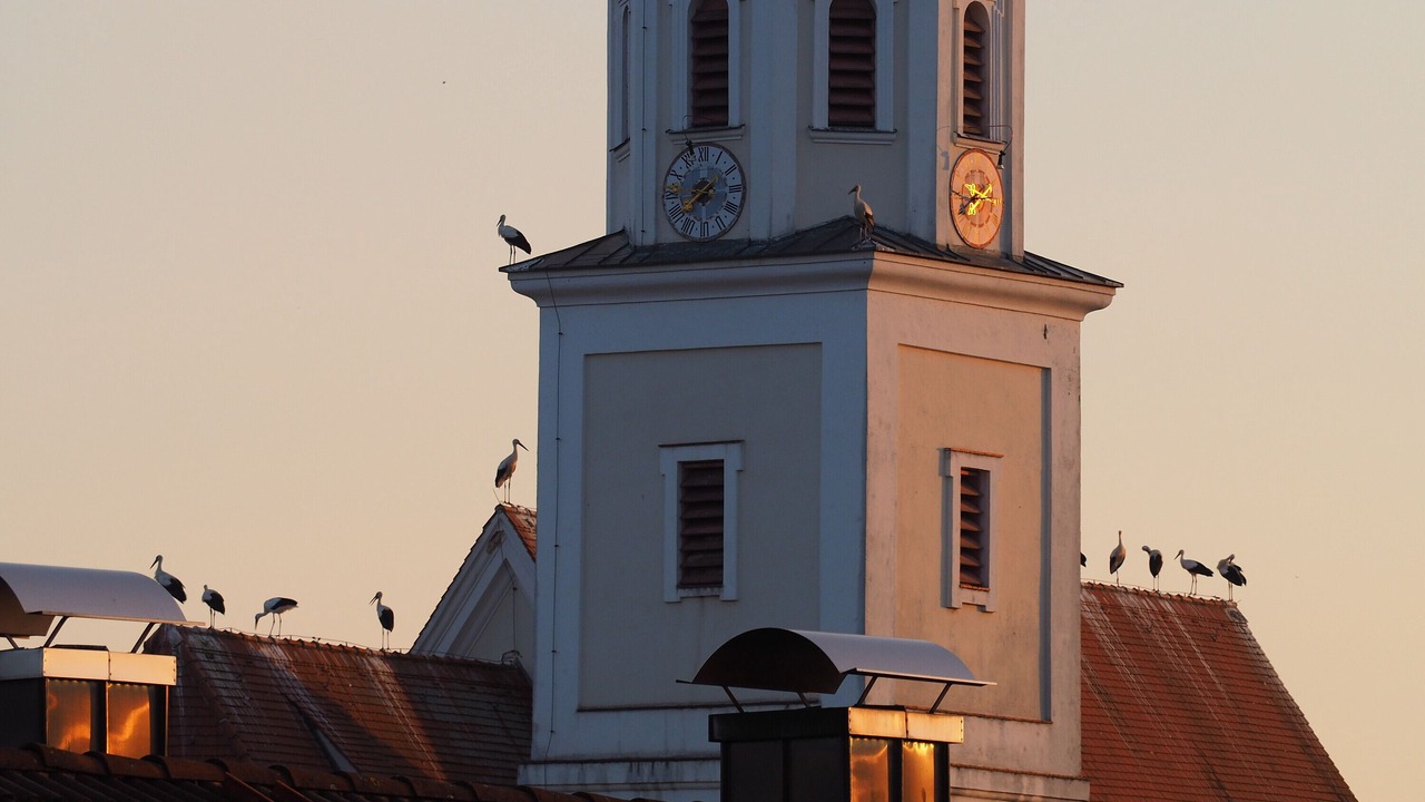 Photo of Others in Raisting