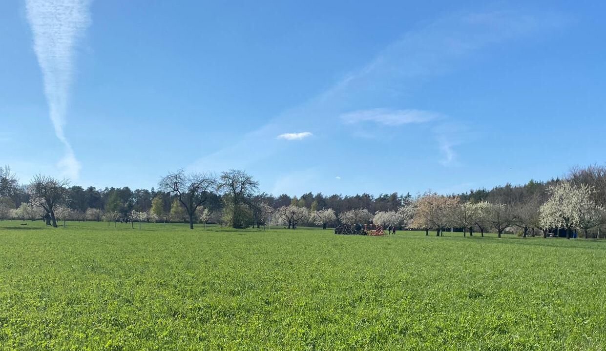 Photo of Others in Kornburg - Worzeldorf