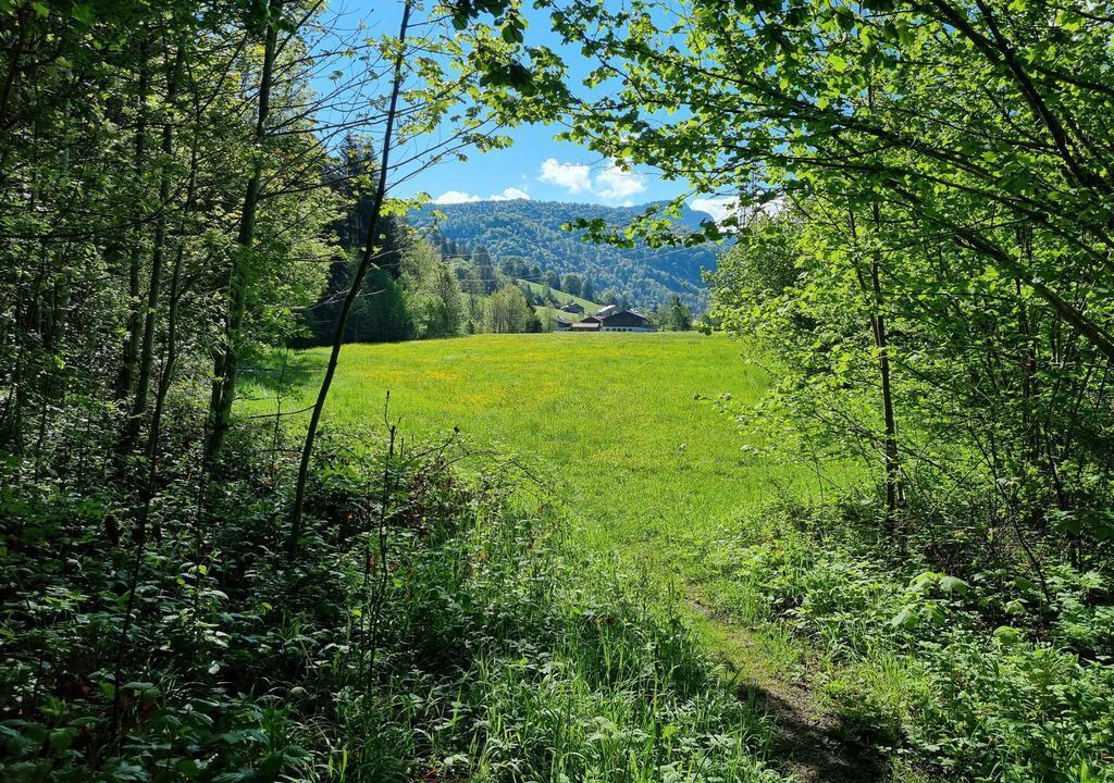 Photo of Others in Weissbach an der Alpenstrasse