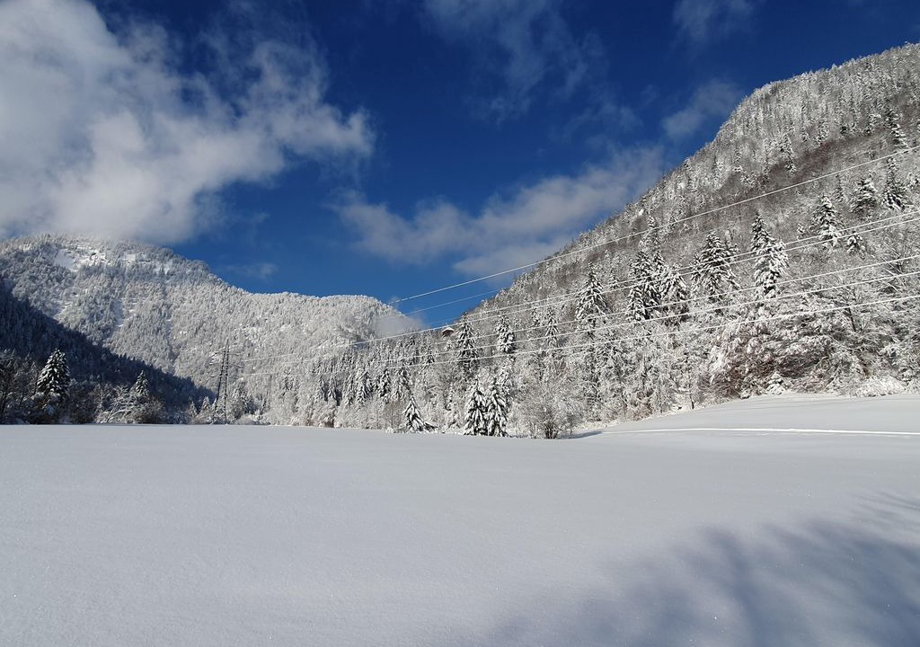 Photo of Others in Weissbach an der Alpenstrasse