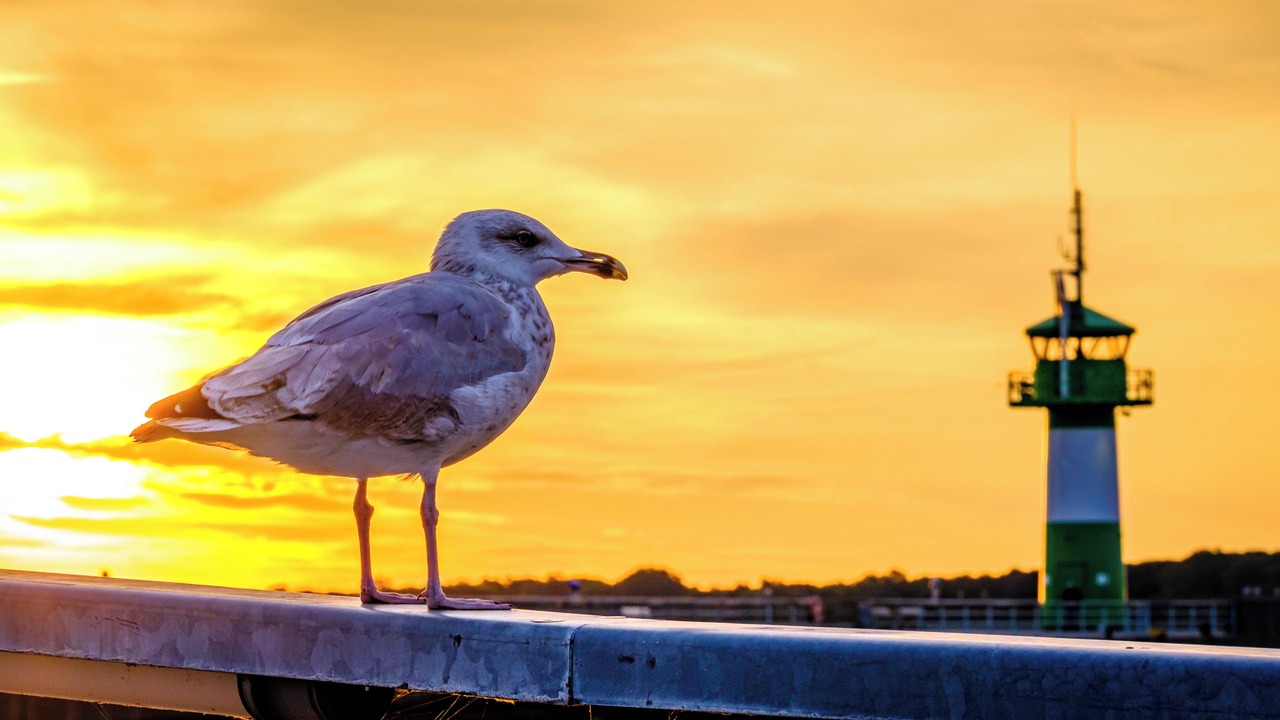 Photo of Others in Travemuende