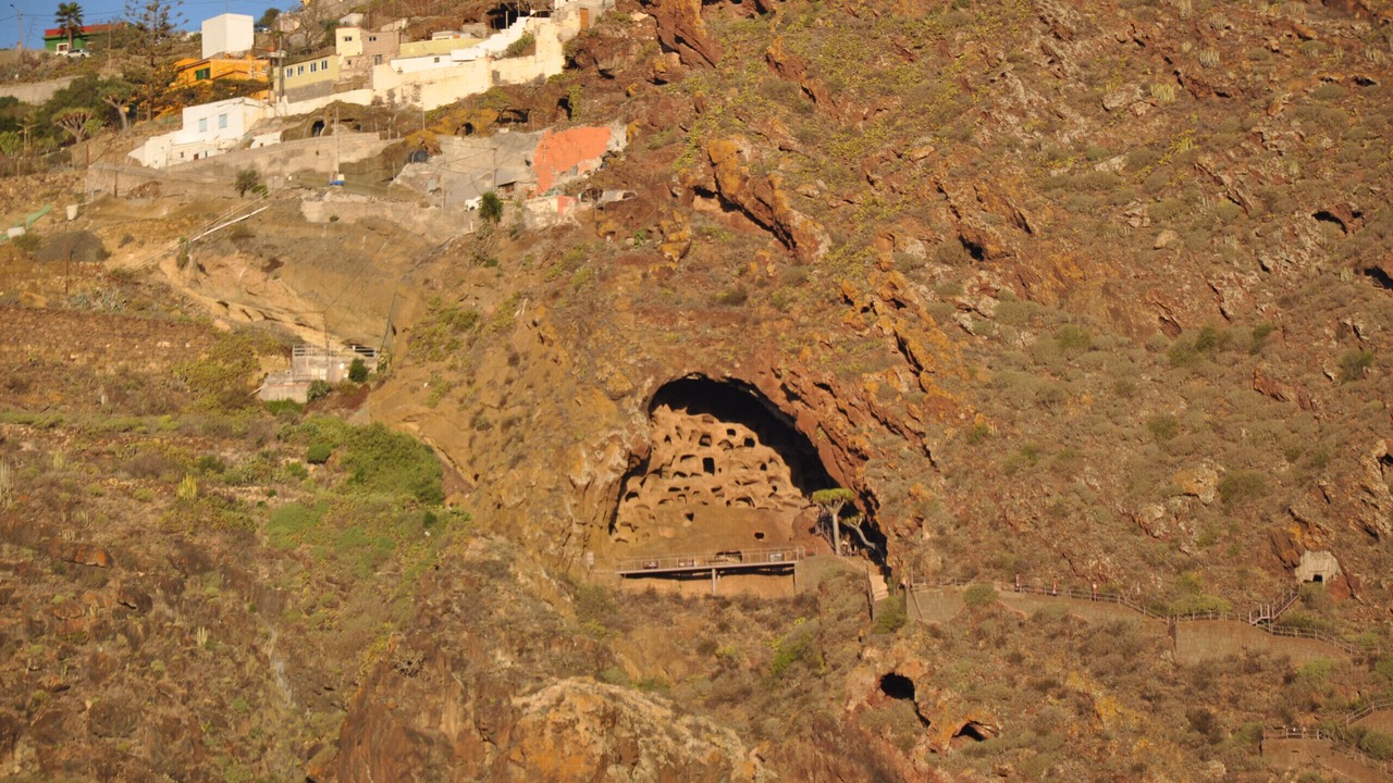 Photo of Others in San Felipe