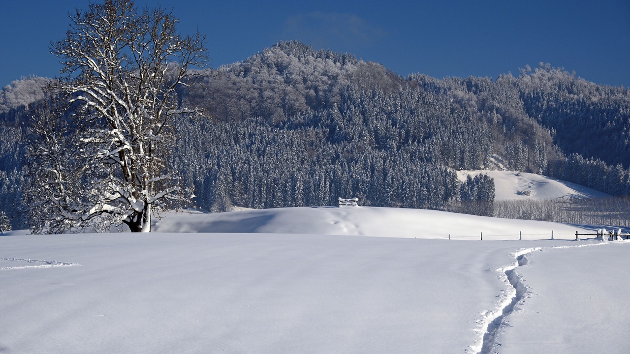 Photo of Others in Isny im Allgaeu