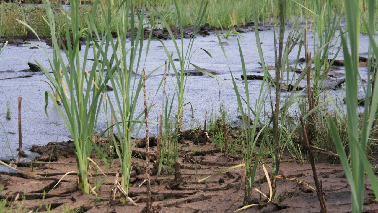 Photo of Outdoor in Bad Kohlgrub
