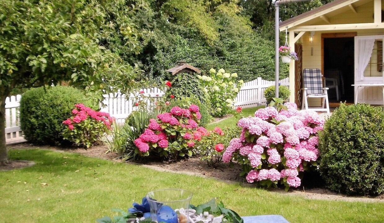 Photo of Outdoor in Wesselburen
