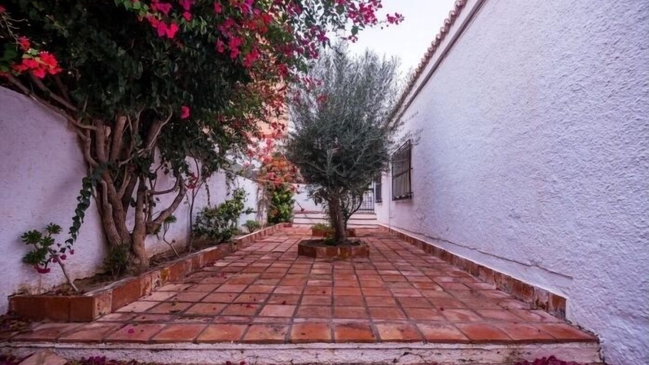 Photo of Outdoor in Aguadulce