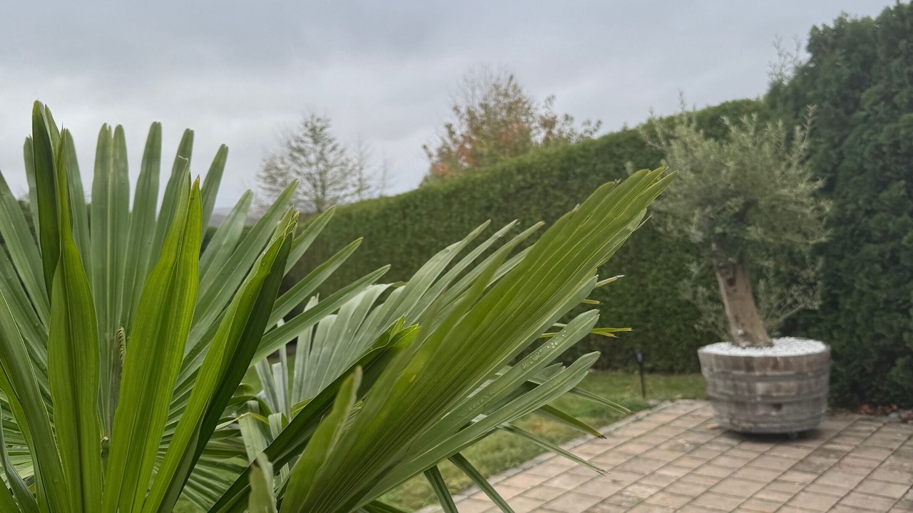 Photo of Outdoor in Delecke