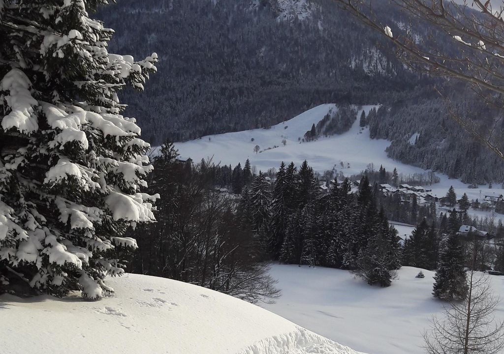 Photo of Others in Weissbach an der Alpenstrasse
