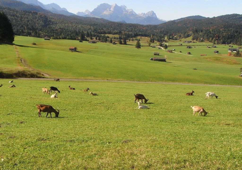 Photo of Others in Wallgau