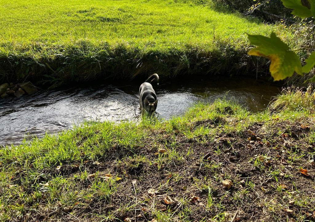 Photo of Outdoor in Seeg
