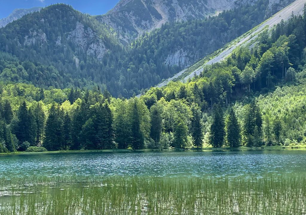 Photo of Others in Weissbach an der Alpenstrasse