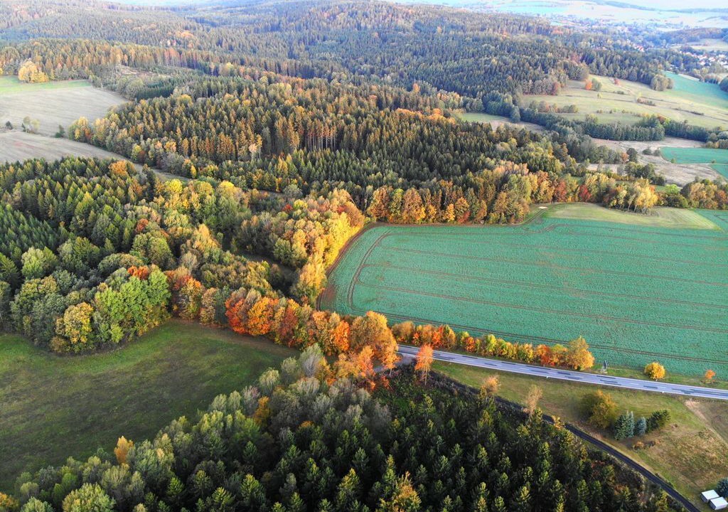 Photo of Outdoor in Steinigtwolmsdorf