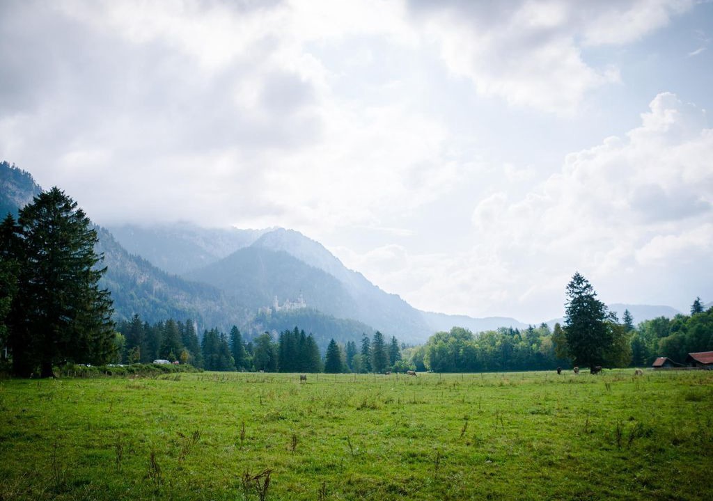 Photo of Others in Enzensberg