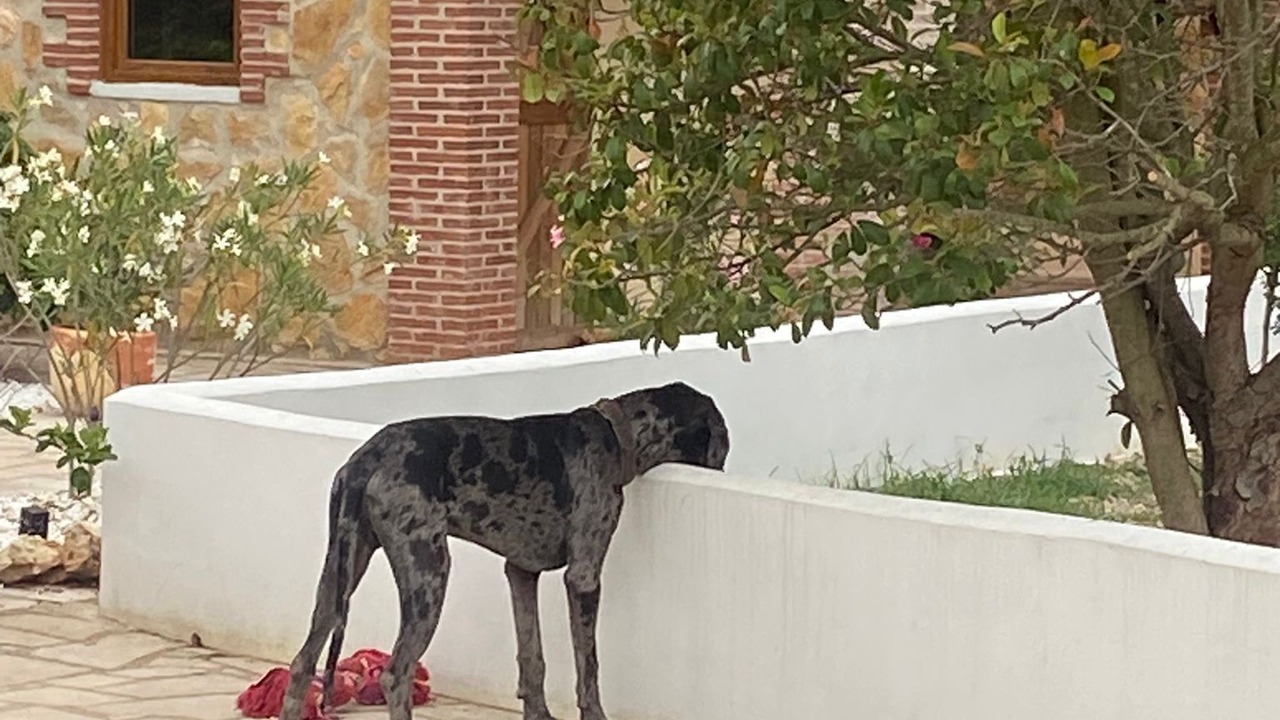 Photo of Outdoor in Ulldecona