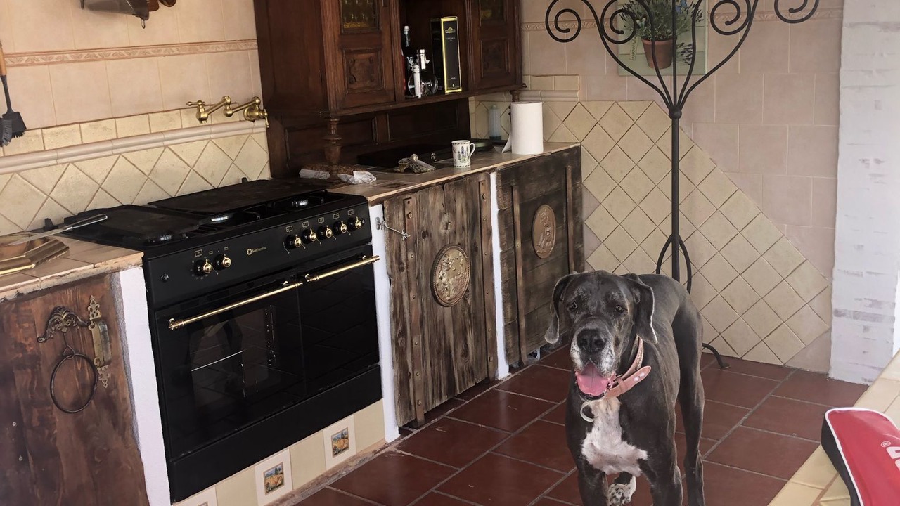 Photo of Kitchen in Ulldecona