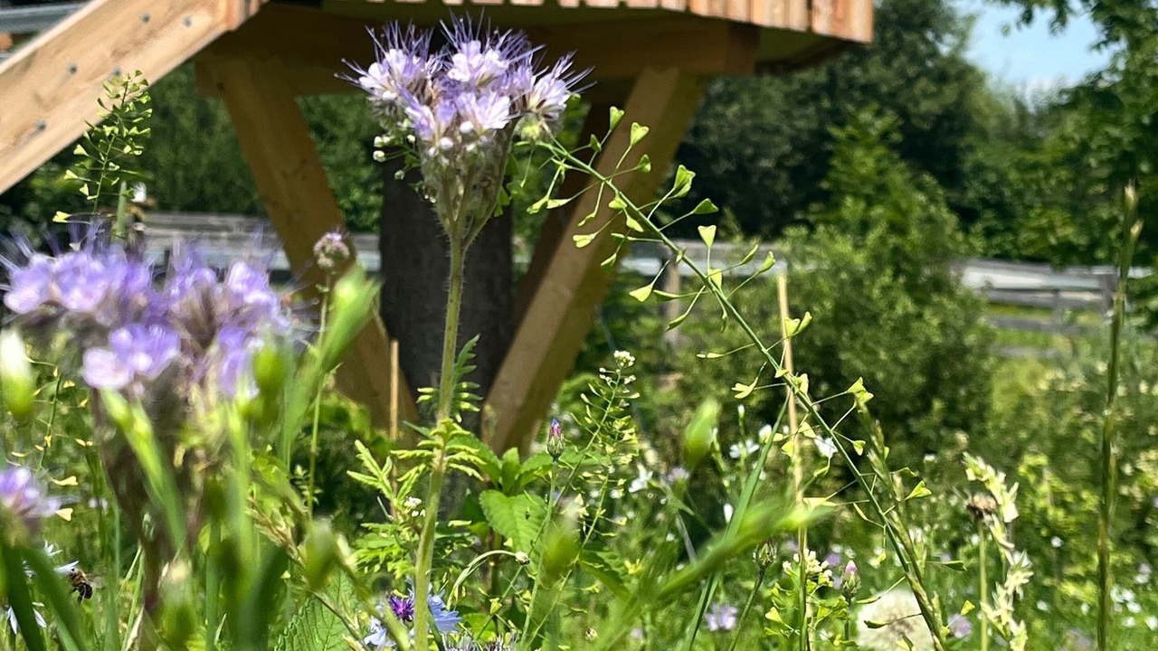 Photo of Outdoor in Bernbeuren