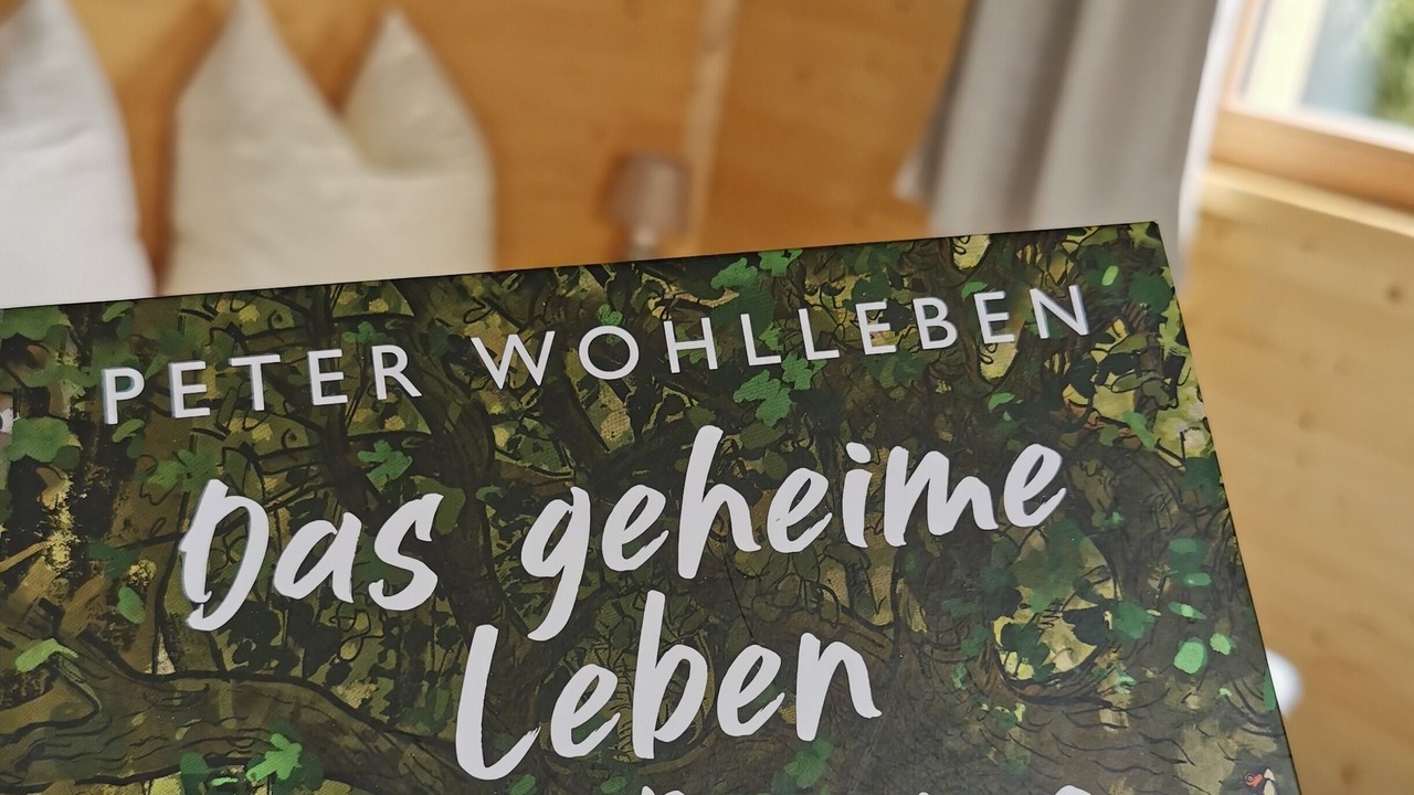 Photo of Others in Bernbeuren