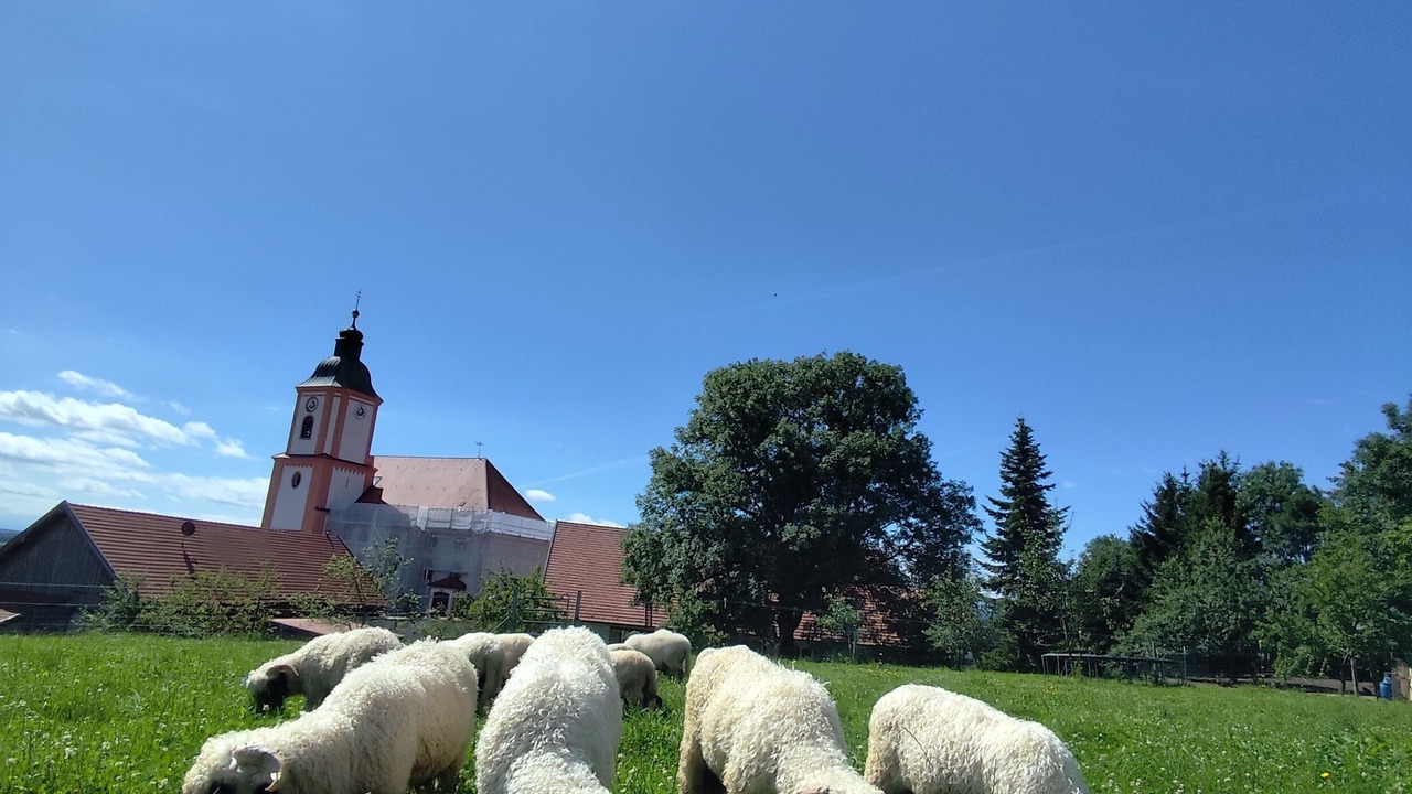 Photo of Others in Reichling