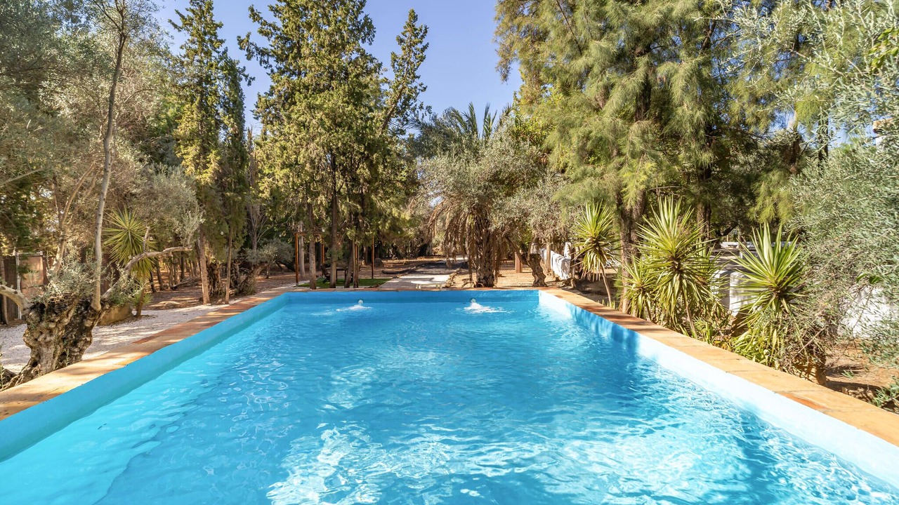 Photo of Outdoor in Santaella