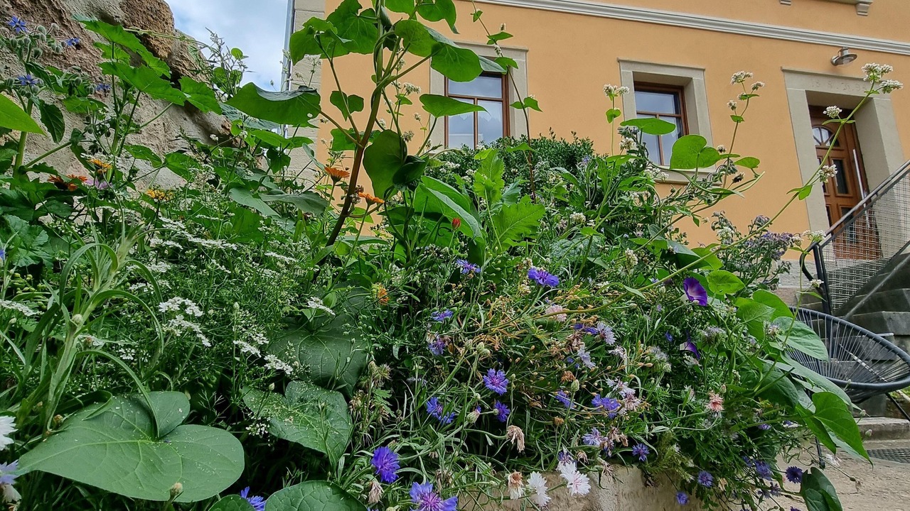 Photo of Outdoor in Bundorf