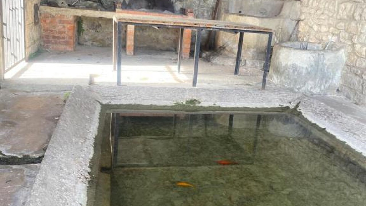 Photo of Others in Lecinana del Camino/Lezinana