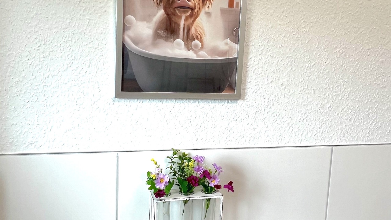 Photo of Others in Meppen