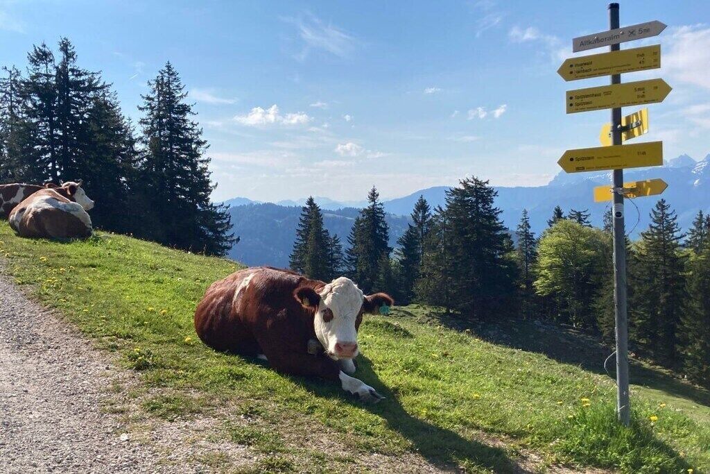 Photo of Others in Aschau im Chiemgau