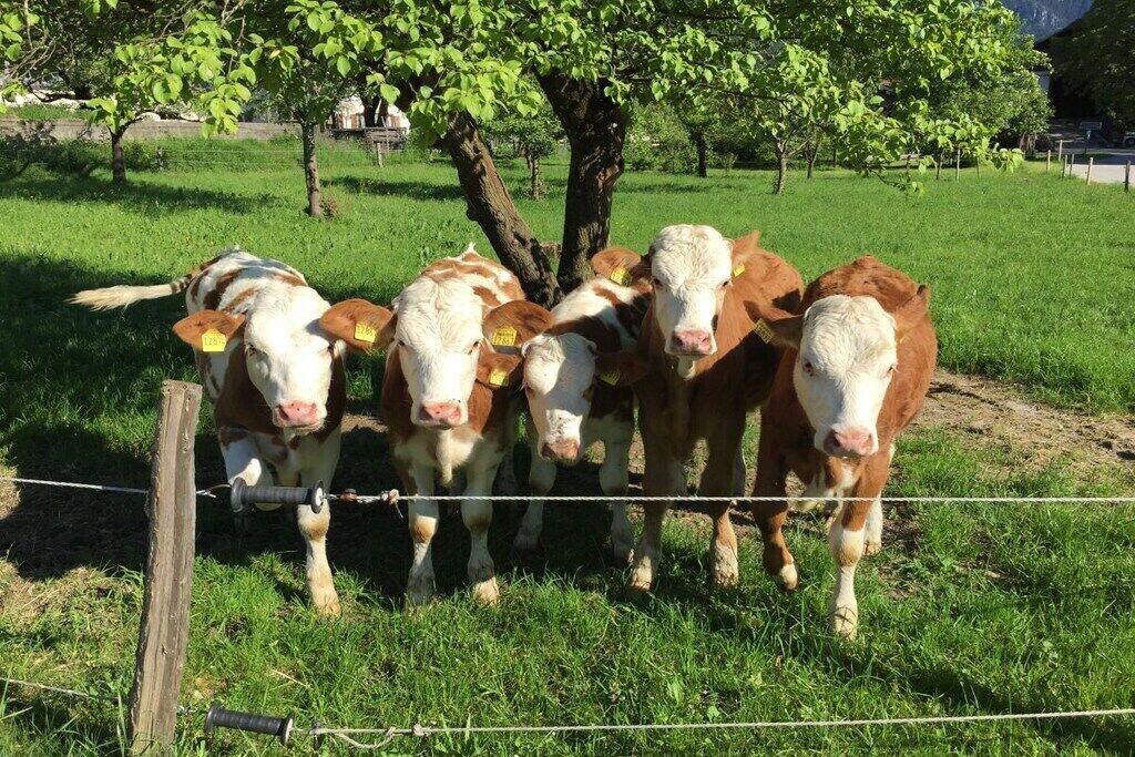 Photo of Others in Aschau im Chiemgau
